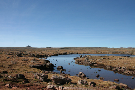 Bale mountains