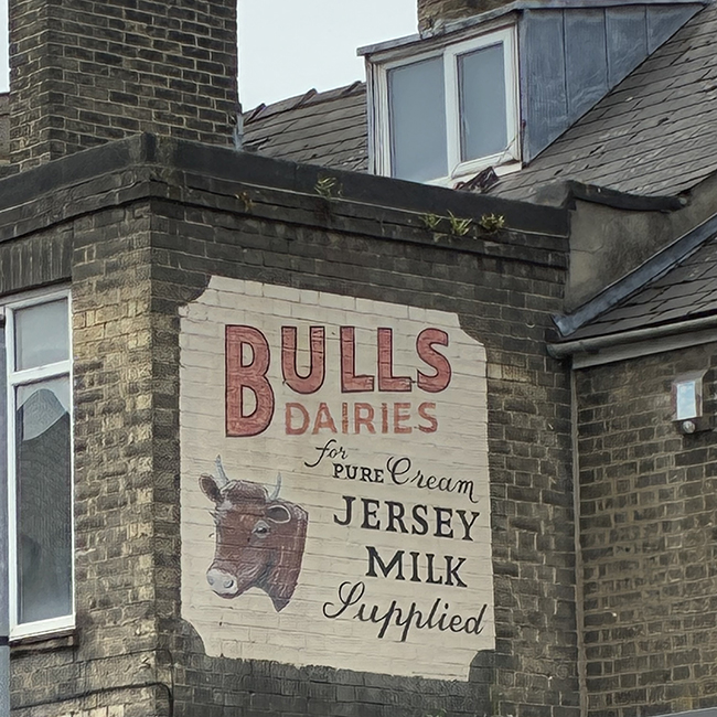 bull diaries