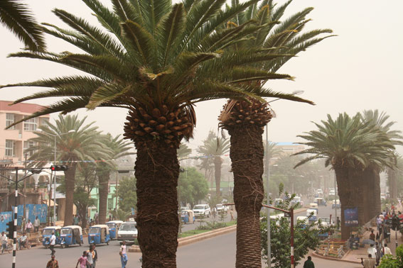 Bahir Dar